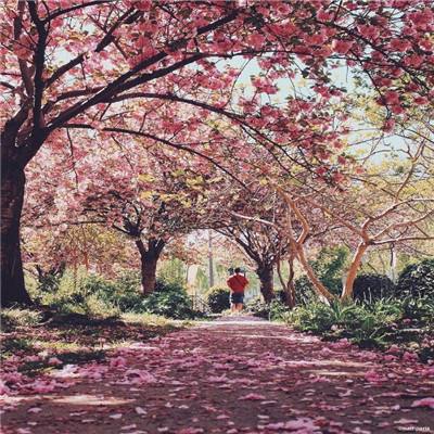 bb贝博官方平台下载