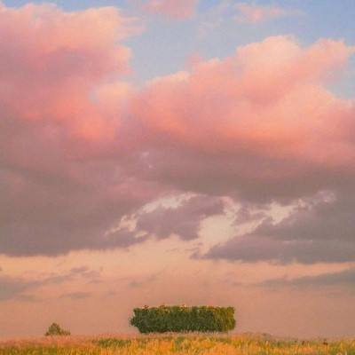 澳门第一娱乐娱城官网手机app下载