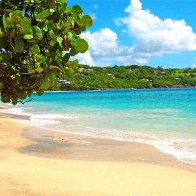 真人百家家乐网站