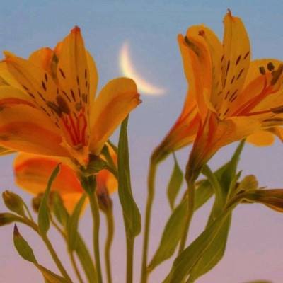 pg麻将胡了下载下载手机版