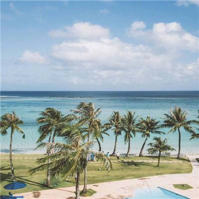 万博max官方入口