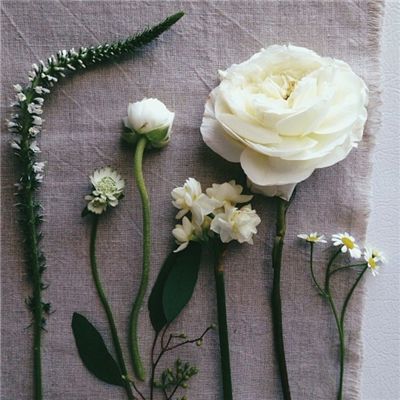 安博app官方网站