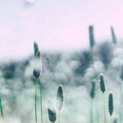 真人斗牛牛最新版下载手机版