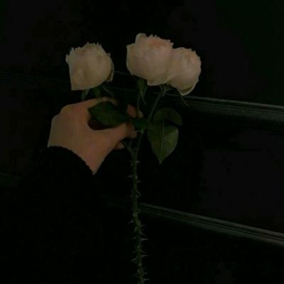 bob半岛在线登录截图